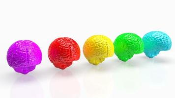The brain multi color  on white  background  for creative concept 3d rendering photo