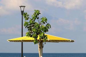 Canopy in the city park to protect from the scorching sun. photo