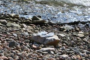 las piedras yacen a orillas del mar mediterráneo. foto