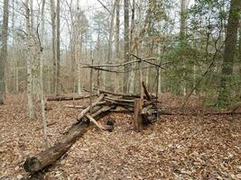 pequeña estructura o fortaleza hecha de palos en el bosque foto