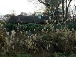 abandoned house with fence and tall grasses and weeds photo