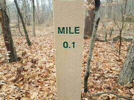 Poste marcador de 0.1 millas en bosque o bosque con hojas foto