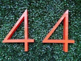 red number 44 on wall with plant with green leaves photo