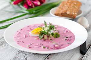Cold beet soup on yogurt with egg, radishes and cucumbers photo