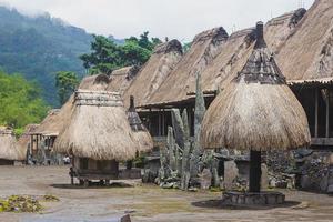 bena un pueblo tradicional con cabañas de paja del pueblo ngas en flores cerca de bajawa, indonesia. muchas casas pequeñas están hechas de partes naturales como madera y paja. volcán gigante en la espalda foto