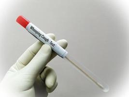 Scientist holding swab sample for whooping cough test, a disease by Bordetella pertussis bacteria. photo