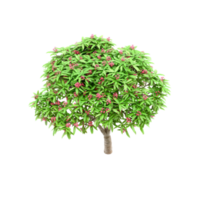 isometrico albero 3d rendere png