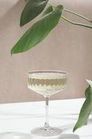 a glass of champagne on a table next to a large leaf plant, vertical. alcohol drinks for party, holiday celebration photo