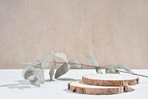 empty wooden round podium and eucalyptus branch. pedestal showcase display for product presentation. natural eco packaging promotion. photo