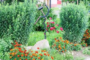 macizo de flores casero con hermoso cet y plantas, verdes y hierba verde foto