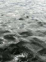 Texture of dark black cold water with waves of ripples rippling. The background photo