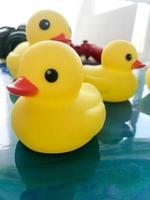 Beautiful yellow rubber bathtub toy ducks swim on a blue water background photo