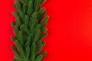 Top view of colorful background made of green fir tree branches. New year holiday concept with copy space photo