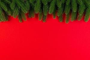 Top view of green fir tree branches on colorful background. New year holiday concept with empty space for your design photo