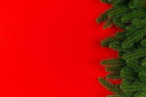 Top view of colorful background made of green fir tree branches. New year holiday concept with copy space photo