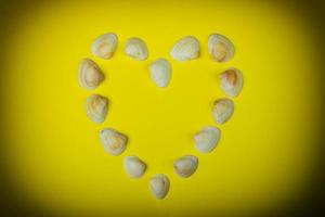 Symbolic heart made from seashells lying on yellow background photo