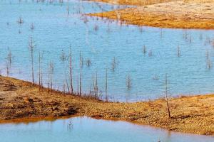 Low levels of water reservoir. Dry climate. Shortage of water. Dead trees. Climate change and global warming. There is no planet B. Urgent action to save the world. Environment. photo