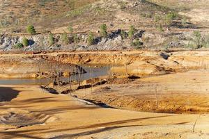 bajos niveles de reserva de agua. clima seco. Escasez de agua. árboles muertos. cambio climático y calentamiento global. no hay planeta b. acción urgente para salvar el mundo. ambiente. foto