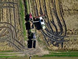 Aerial drone view of rice harvester unloading the rice grain onto the lorry truck. Industrial agriculture and farming. Native Rice of Portugal. Tagus Estuary Natural Reserve in Lisbon, Portugal. photo