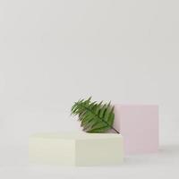 Cosmetic hexagon podium background for product presentation, for fashion magazine. Fern leaf - 3d rendering - photo