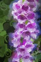 Digital Illustration Beautiful Purple Digitalis Purpurea Foxglove photo