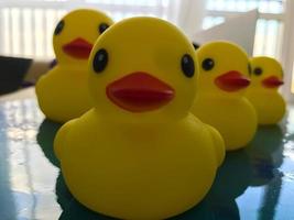 Beautiful yellow rubber bathtub toy ducks swim on a blue water background photo