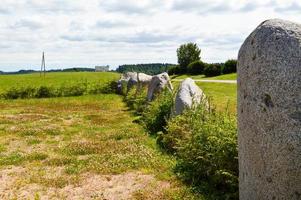 The texture of a large garden garden of stones of round stones standing in a row in order on a favorable background. The background photo