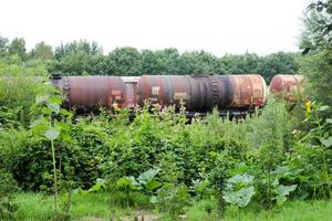 Sucios y oxidados vagones cisterna de metal cilíndrico de hierro vagones espaciosos para un tren en un ferrocarril en matorrales de plantas y árboles verdes foto