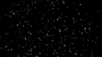 effet de chute de neige sur canal alpha, animation de boucle de chute de neige éolienne de neige blanche utilisée pour les projets vidéo de noël video