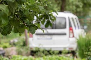 Apple tree branch with green leaves on a blurred background car parked in the village yard. photo