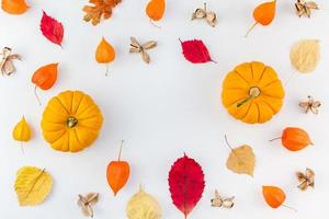 Frame made of pumpkins dried flowers and leaves photo