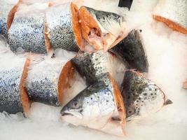 Fish shop. Sale of cut trout. Fish heads. Cooled trout on the counter. Fish in ice.  Meat products photo