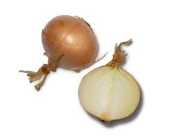 Bulb onion on a white background. Onion in the husk photo