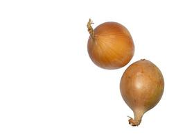 Onion on a white background. Root isolate. Fresh vegetables. photo