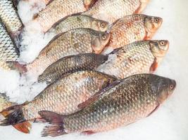 Fish shop. Sale of carp. Chilled crucian carp on the counter. photo