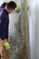 The man uses a spatula to remove mold and fungus on the wall. photo