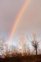 Rainbow in early spring in the Ukrainian village on a background of trees without leaves. photo