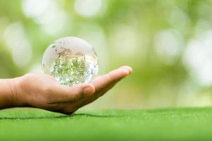 bola de cristal utilizada como objeto revelador. parque natural con árboles al fondo. mano para el medio ambiente, social y gobernanza en negocios sostenibles y éticos sobre fondo verde.