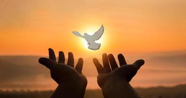 Concept of worship in Christianity. Doves fly into man hands. Christians have faith in Holy Spirit. Male silhouette worship to god with love Faith,Spirit and jesus christ. Christian praying for peace photo