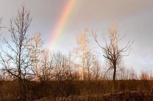 Rainbow in early spring in the Ukrainian village on a background of trees without leaves. photo