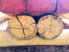 The texture of the wooden sawn log round in the section of the natural with the cracks and the textured yellow brown. The background photo