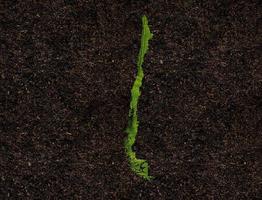 Chile map made of green leaves on soil background ecology concept photo