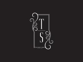 Letter TS Logo, TS Abstract Luxury Letters Logo Monogram vector