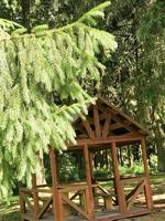 A green spruce pine branch hanging in the air against a brown gazebo, places for rest. photo