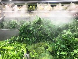 Green fresh environmentally friendly greens of parsley plants dill salad arugula onions and other plant foods with droplets of water and steam in the freshness chamber. Background, texture photo