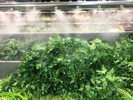 Green fresh environmentally friendly greens of parsley plants dill salad arugula onions and other plant foods with droplets of water and steam in the freshness chamber. Background, texture photo