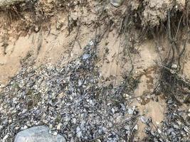 textura de la tierra en un barranco con raíces sobresalientes de árboles hechos de arena y tierra. el fondo foto