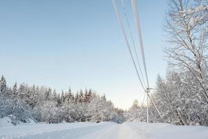 cables eléctricos cubiertos de nieve, a lo largo de un camino de pueblo y bosque, en un helado día de invierno. foto