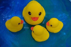 hermosos patos de juguete de bañera de goma amarilla nadan en un fondo de agua azul foto