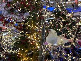 new year holiday card with bird bird hanging feathers and wings spread at the glass ball on the branch of a fir tree in the winter snow Park. photo